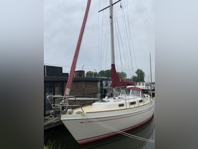 Buy 1983 Nomad 34