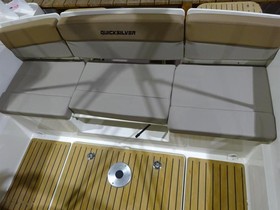 Купити 2022 Quicksilver Boats Activ 555 Cabin