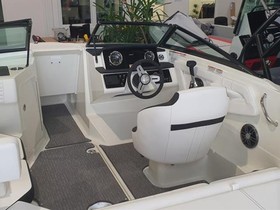 Buy 2022 Sea Ray Boats 190 Sport