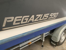 Buy 2015 Pegazus 550