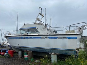Buy 1975 Powles 41