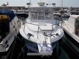 Buy 2007 Pro-Line 29 Express