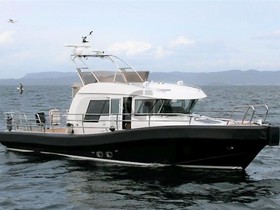 Купить 2009 Anytec 1350 Custom