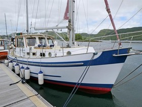 Banjer 37