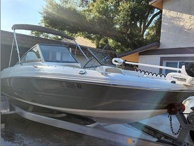 Acquistare 2019 Stingray 191 Dc