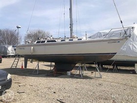 1989 Catalina Yachts 34 til salgs