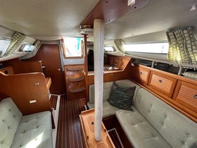 1990 Westerly Storm 33 in vendita