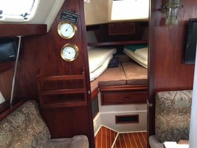 1988 Catalina Yachts 34 for sale