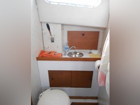 Buy 1978 Nelson 44