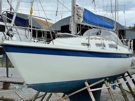 Hurley 800