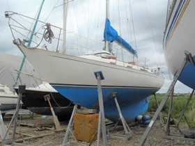 Rustler 31