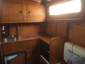 1979 Vilm 12 til salg