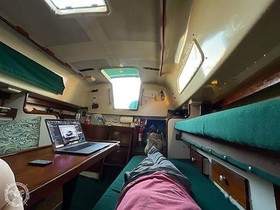 1977 Hunter Cherubini 30 for sale