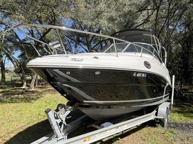 Buy 2011 Sea Ray Boats 240 Sundancer