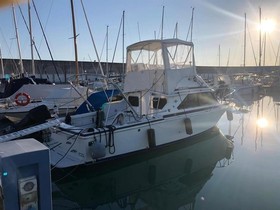 Bertram Yachts 28