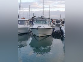 2006 EdgeWater 265