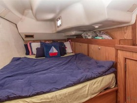 Comprar 2000 Hunter 460
