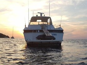1986 Arno Leopard 20 for sale