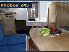 Dalpol Yacht Phobos 24.5