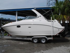 2010 Sea Ray Boats 260 Sundancer for sale