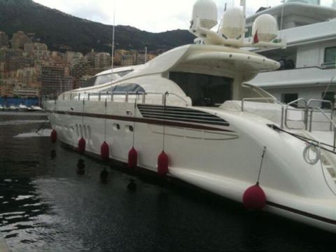 Leopard 34