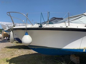 Buy 1978 Coronet 24