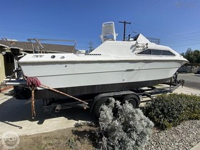 1982 Sea Ray Boats 245 Sundancer на продаж