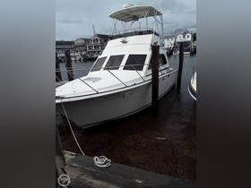 Egg Harbor 33