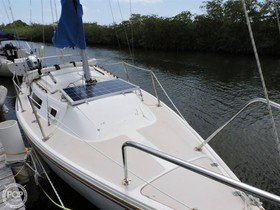 Catalina Yachts 250