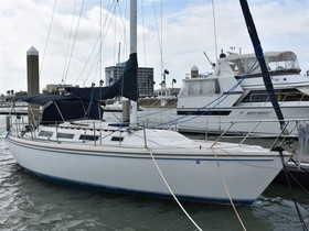 Catalina Yachts 36
