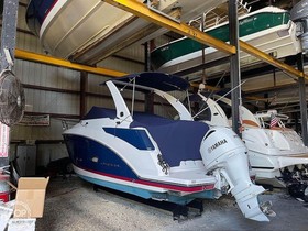 Comprar 2019 Regal Boats 2600 Xo