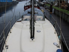 Kupić 1981 Beryll 30