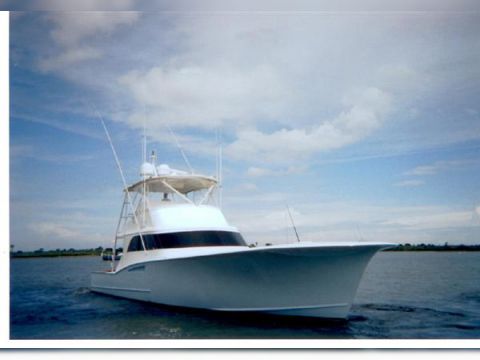  Titan Custom Carolina-Style Sportfish