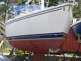 Buy 1991 Catalina Yachts 30