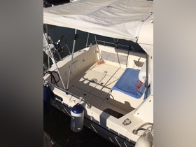 Vegyél 1991 Intermare 23 Florida