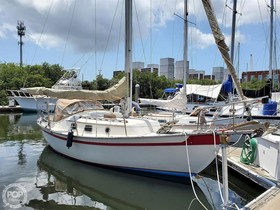Southern Cross 28
