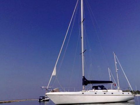 Colvic 55