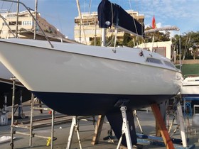 Acquistare 1978 Arcoa