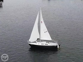 Buy 1983 Catalina Yachts 250