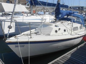 1976 Westerly Tiger kopen