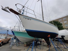 Catalina Yachts 36 Tall Rig