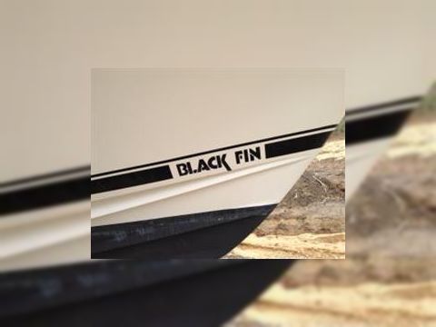 1986 Blackfin Combi te koop