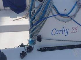 Harley Race Boats Corby 25