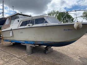 1980 Birchwood Boats 25 на продажу
