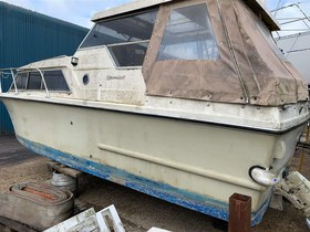 Birchwood Boats 25