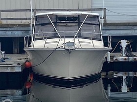 Kjøpe 1988 Pace 33 Express