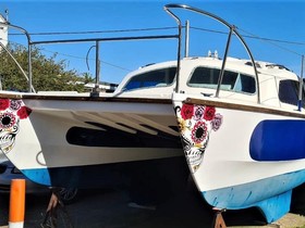 1978 Hirondelle Catamaran myytävänä