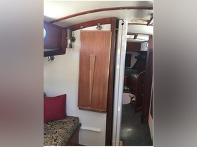 1980 Cape Dory 36 zu verkaufen