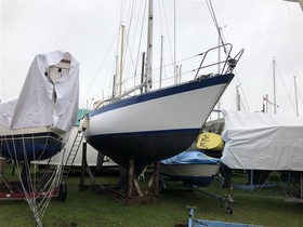 Buy 1974 Forgus 31