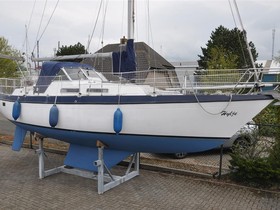 Buy 1976 Targa 96